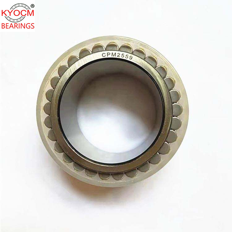 Full Complement Cylindrical Roller Bearing CPM2559 45*61.55*32mm